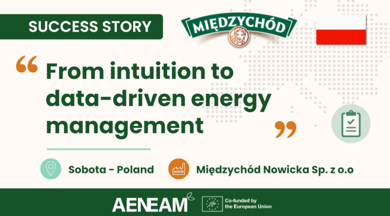 Międzychód’s Energy Journey: From Audit Insights to ISO 50001 Excellence Międzychód’s Energy Journey: From Audit Insights to ISO 50001 Excellence