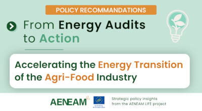 From Energy Audits to Action: Accelerating the Energy Transition of the Agri-Food Industry From Energy Audits to Action: Accelerating the Energy Transition of the Agri-Food Industry