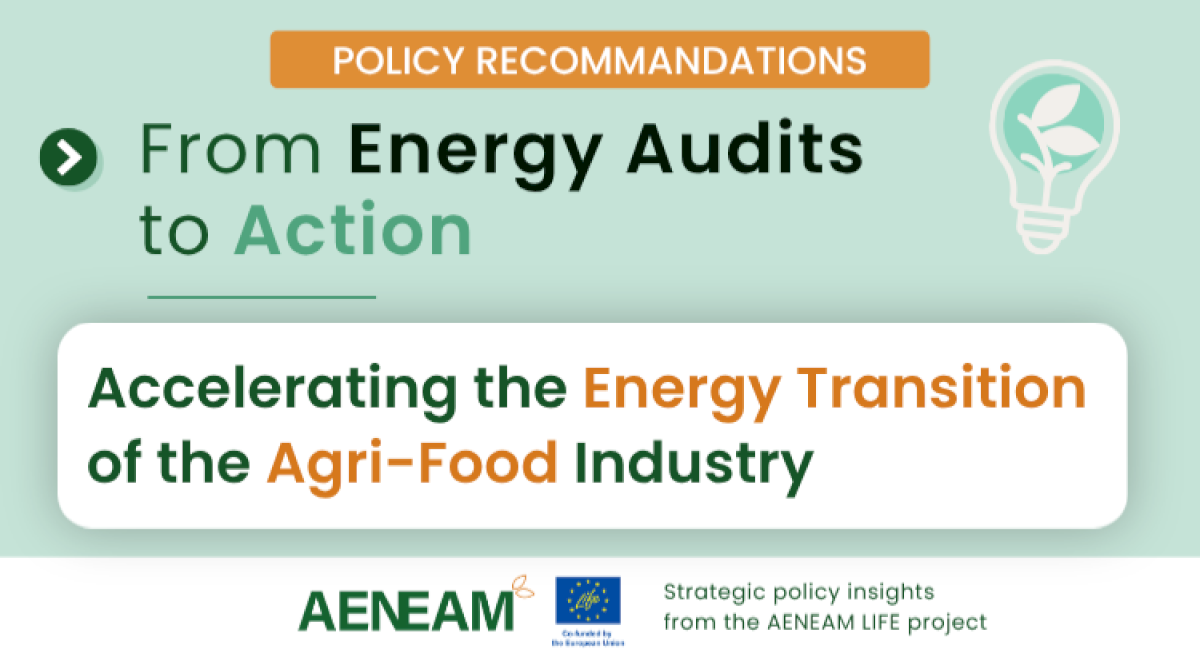 From Energy Audits to Action: Accelerating the Energy Transition of the Agri-Food Industry