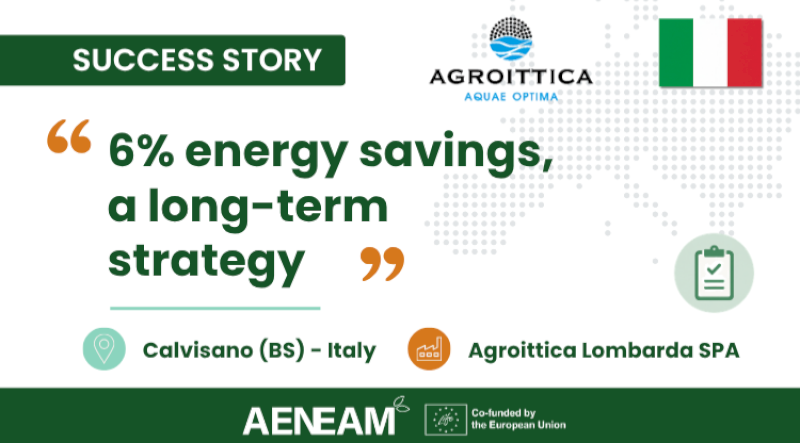 Agroittica Lombarda: Building a Long-Term Energy Efficiency Strategy