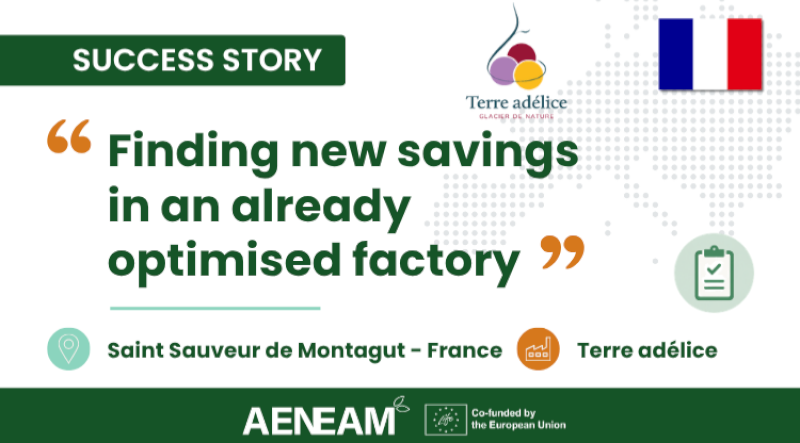 Terre Adélice: Finding New Energy Savings in an Already Optimised Factory Terre Adélice: Finding New Energy Savings in an Already Optimised Factory