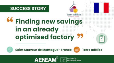 Terre Adélice: Finding New Energy Savings in an Already Optimised Factory