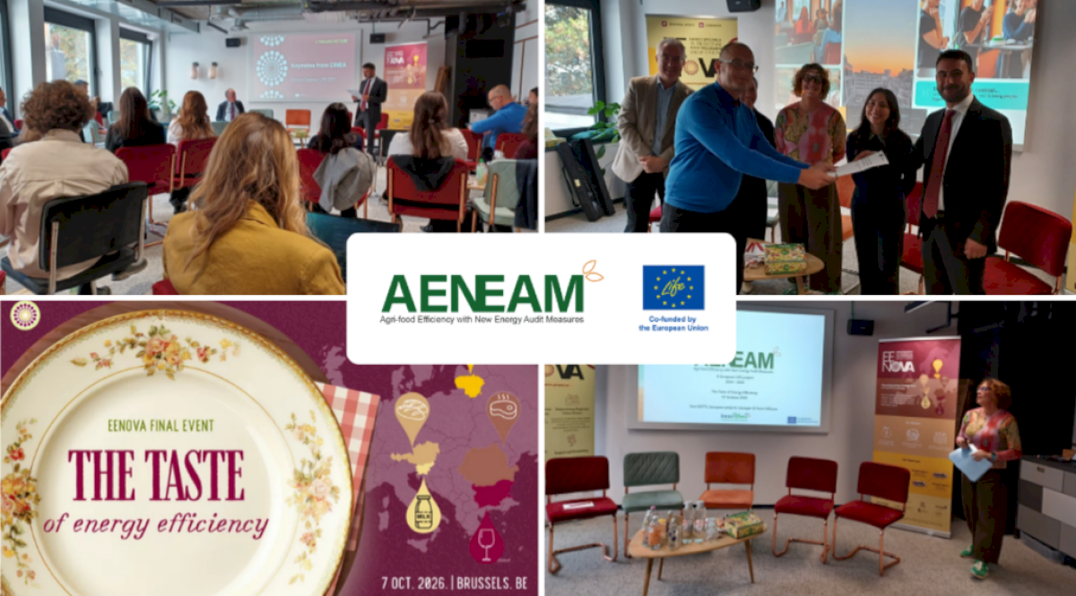 AENEAM at the EENOVA Final Event