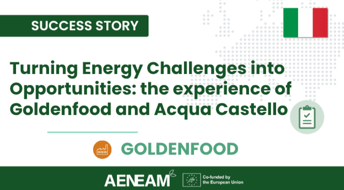 Turning Energy Challenges into Opportunities: the experience of Goldenfood and Acqua Castello Turning Energy Challenges into Opportunities: the experience of Goldenfood and Acqua Castello