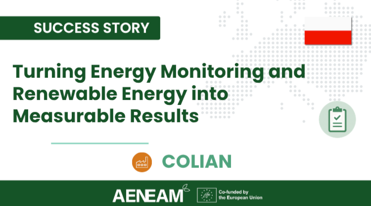 Colian: Turning Energy Monitoring and Renewable Energy into Measurable Results 