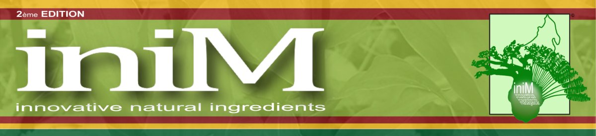BANDEAU-SITE-V2-scaled BANDEAU-SITE-V2-scaled