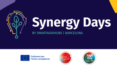 Synergy days 2024