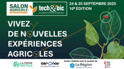 Visuel bannière mailing - site2