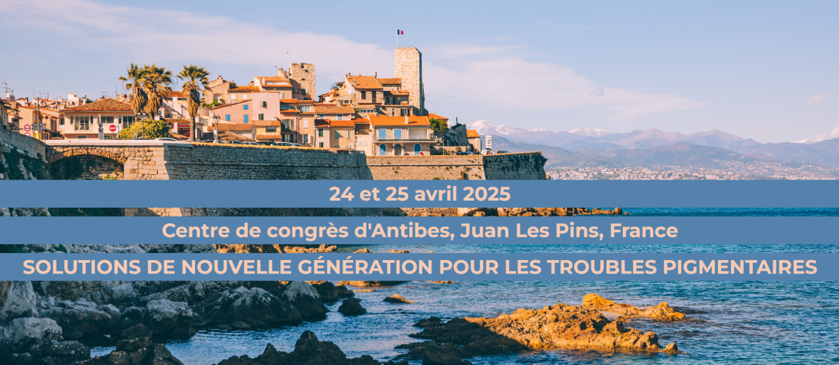 Capture d'écran 2025-03-31 142829