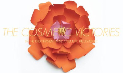 The-Cosmetic-Victories-1