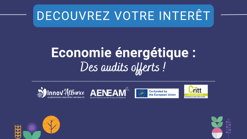 Visuels pour Innov'Action (56)