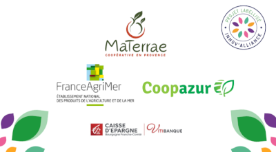 Filière Légumineuses Provence : structurer une production locale durable au service de la souveraineté alimentaire Filière Légumineuses Provence : structurer une production locale durable au service de la souveraineté alimentaire