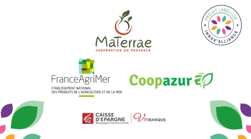 Filière Légumineuses Provence : structurer une production locale durable au service de la souveraineté alimentaire Filière Légumineuses Provence : structurer une production locale durable au service de la souveraineté alimentaire
