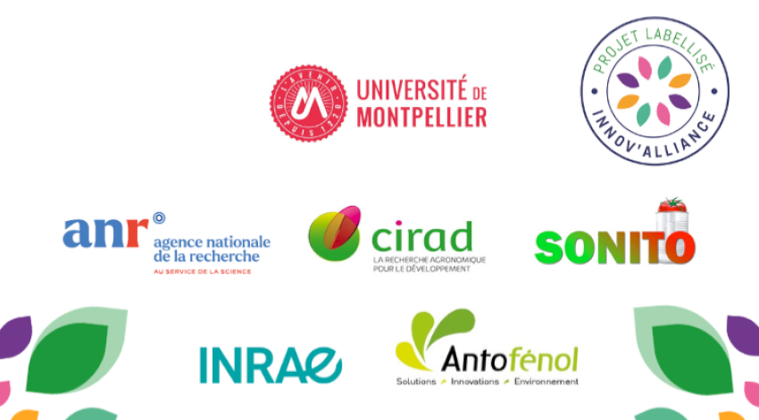 TOmALTerTOX : mieux comprendre et réduire les risques liés aux mycotoxines d’Alternaria dans les produits à base de tomate TOmALTerTOX : mieux comprendre et réduire les risques liés aux mycotoxines d’Alternaria dans les produits à base de tomate