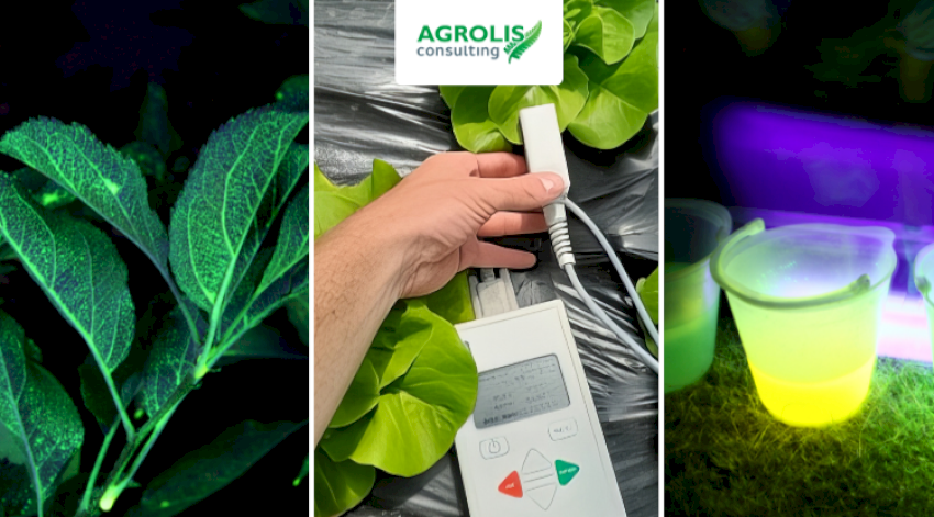Témoignage adhérent : AGROLIS CONSULTING
