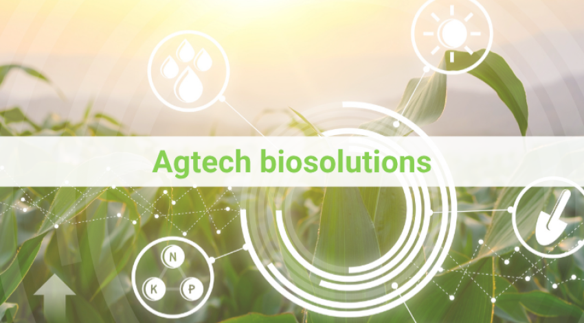 Info'Veille Agtech Biosolutions N°48 - Juillet 2026 