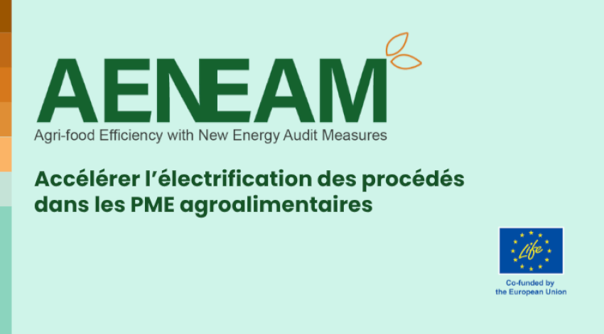 Accélérer l’électrification des procédés en France : recommandations pour les PME agroalimentaires Accélérer l’électrification des procédés en France : recommandations pour les PME agroalimentaires