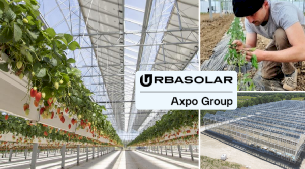Urbasolar : l’agrivoltaïsme au service des producteurs