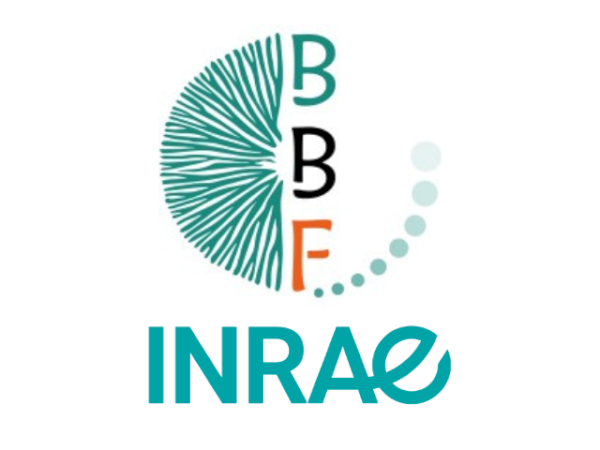 INRAE-Aix Marseille Université UMR Biodiversité et Biotechnologie Fongiques (BBF)