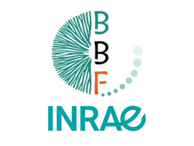 INRAE-Aix Marseille Université UMR Biodiversité et Biotechnologie Fongiques (BBF) INRAE-Aix Marseille Université UMR Biodiversité et Biotechnologie Fongiques (BBF)